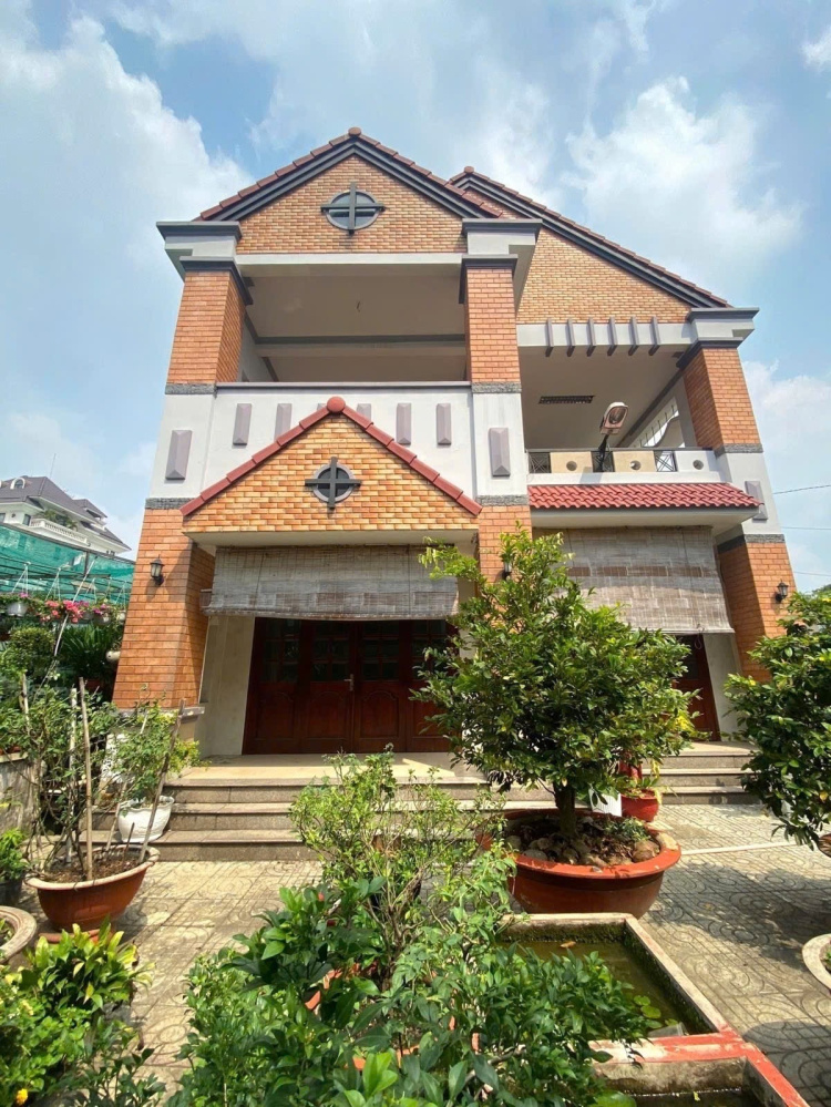 [ BÌNH TÂN ] Lê Trọng Tấn - MT - TIỆN KINH DOANH - LÀM VĂN PHÒNG CÔNG TY
